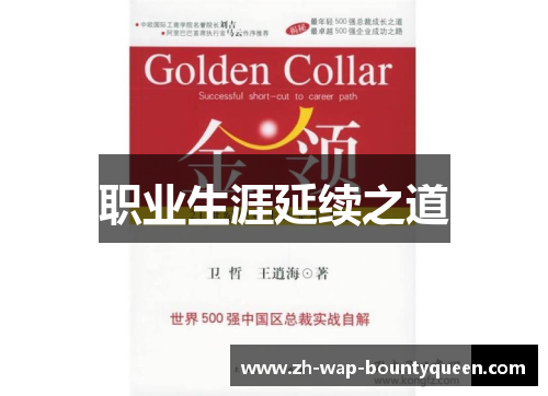 职业生涯延续之道