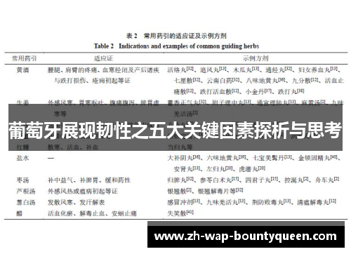 葡萄牙展现韧性之五大关键因素探析与思考